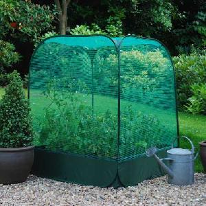 Large Raised Bed with Pop Up Net Cover