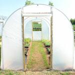 Polytunnels and Mini Tunnels