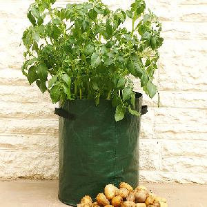 Potato Patio Planters