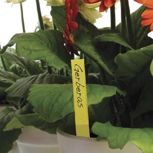 Protective Plant Labels