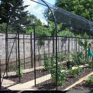 Roman Arch Fruit and Vegetable Cage