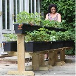 Strawberry Raised Growing Table