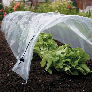 Greenhouse Protection Polytunnel Tunnel Plant Garden Fruit Veg Plastic Cloche 