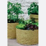 Vegetable Patio Planters