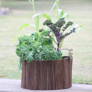 Vegetable Planter & Willow Surround