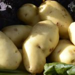 Growing Potatoes - How to Grow Potatoes