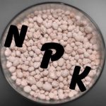 What Are NPK - Basic Components of Fertiliser Explained