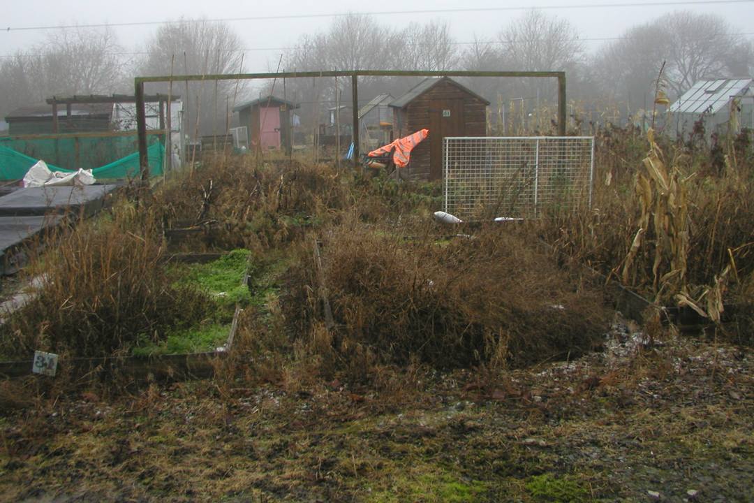 Clearing A New Allotment Or Vegetable Plot