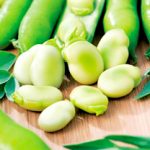 Growing Broad Beans (Fava Beans) - How to Grow Broad Beans