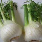 Growing Fennel - How to Grow Fennel