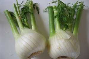 How to Grow Fennel