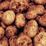Growing Potatoes Overview - How to Grow Potatoes Guide