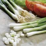 How to Grow Spring Onions (Scallions / Salad Onions)