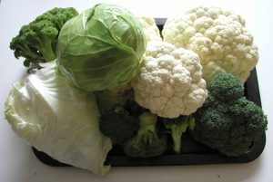Brassica Collection