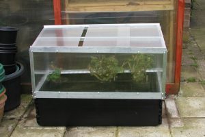 Raised Bed Coldframe
