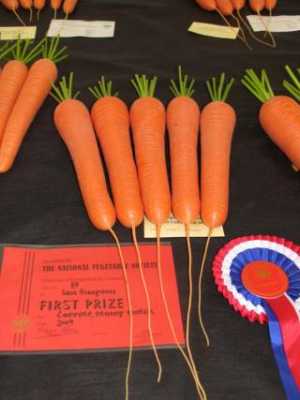 Show Winning First Prize Carrots