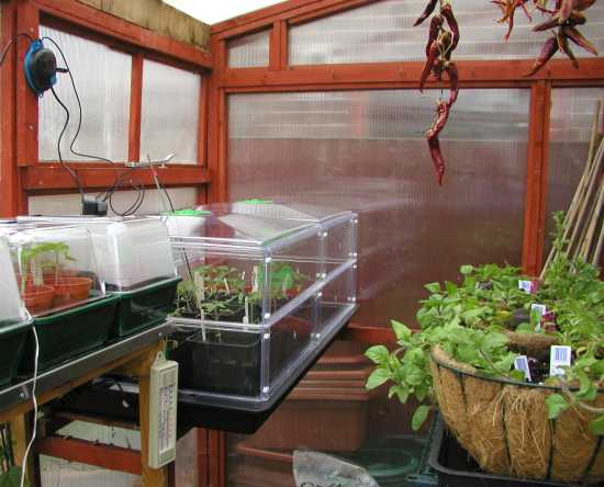 Vitopod in Greenhouse