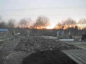 Allotment in February