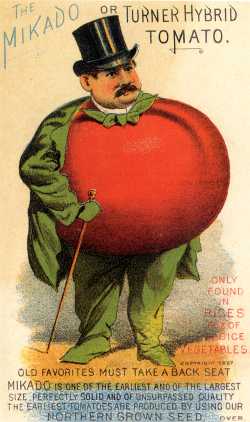 Heritage Tomatoes