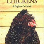 Starting with Chickens by Katie Thear