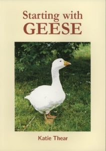Starting with Geese