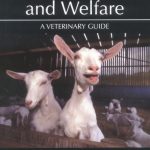 Goat Health and Welfare: A Veterinary Guide by David Harwood