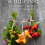 Wild Food: A Complete Guide for Foragers by Roger Phillips