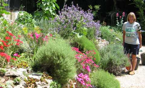 Planning A Hot Climate Garden Allotment Gardens