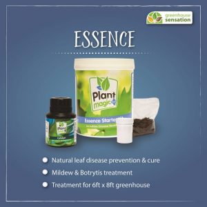 Plant Magic Essence Kit