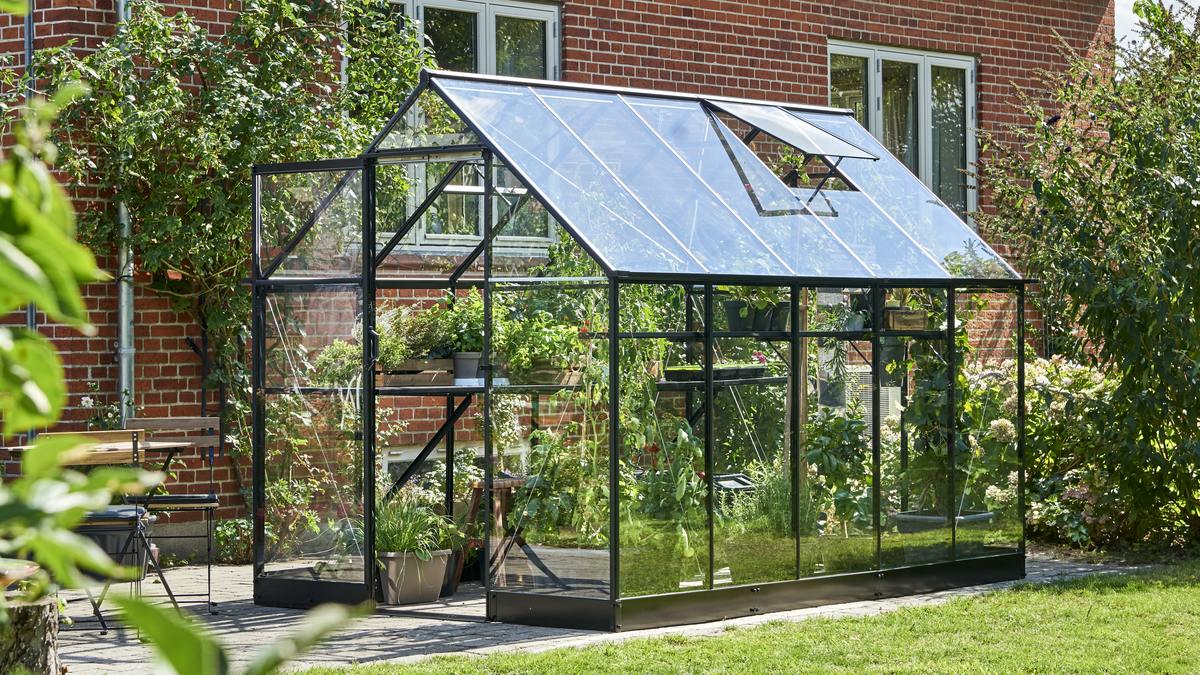 Halls Qube Greenhouse Review - Allotment & Gardens