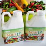 Nutrigrow Fertiliser