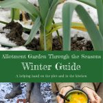 Winter Guide Cover