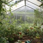 Understanding Greenhouse Planning Permission: What You Need to Know