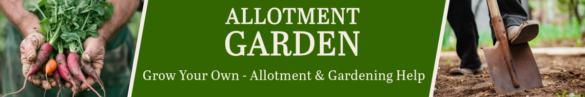 Allotment & Gardens